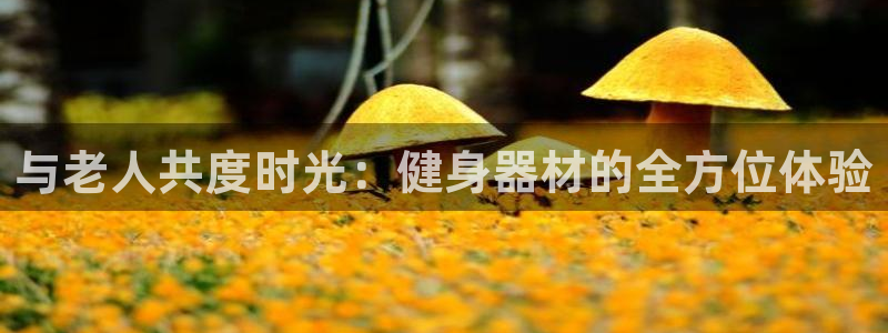 凯捷体育平台注册流程图：与老人共度时光：健身器材的全