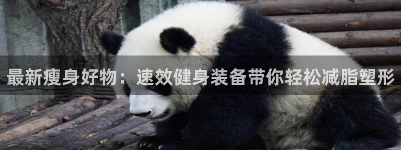凯捷体育平台注册：最新瘦身好物：速效健身装备带你轻松