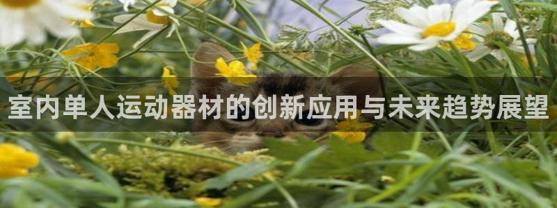 意昂集团官网