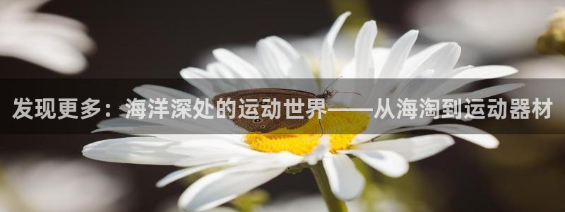 凯捷体育娱乐平台