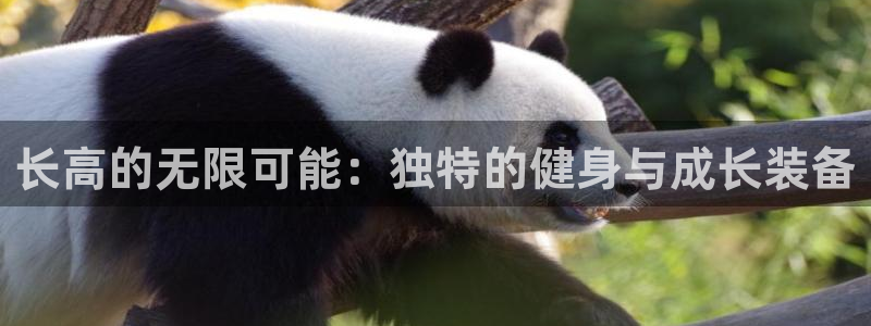 凯捷体育是干嘛的公司：长高的无限可能：独特的健身与成长装备
