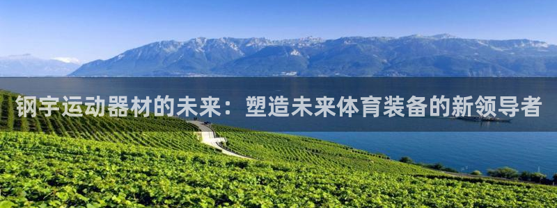 凯捷体育娱乐平台：钢宇运动器材的未来：塑造未来体育装备的新领
