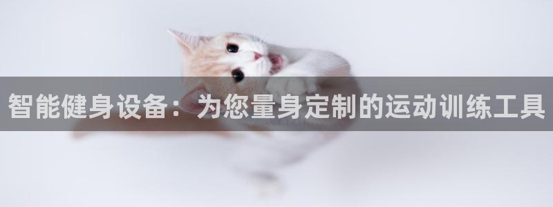 凯捷体育集团logo：智能健身设备：为您量身定制的运动训练工