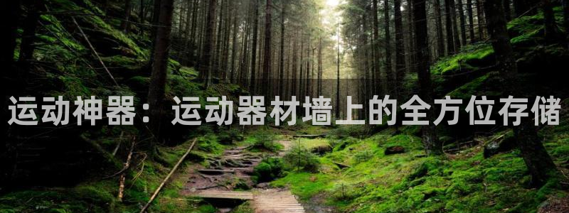 意昂平台体育：运动神器：运动器材墙上的全方位存储