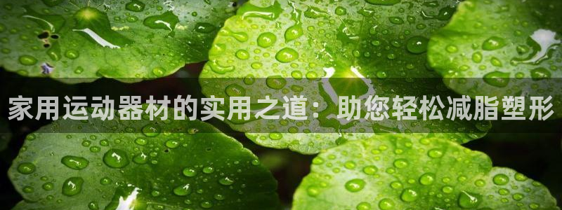 凯捷体育是干嘛的公司：家用运动器材的实用之道：助您轻松减脂塑