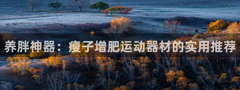 意昂集团官网：养胖神器：瘦子增肥运动器材的实用推荐