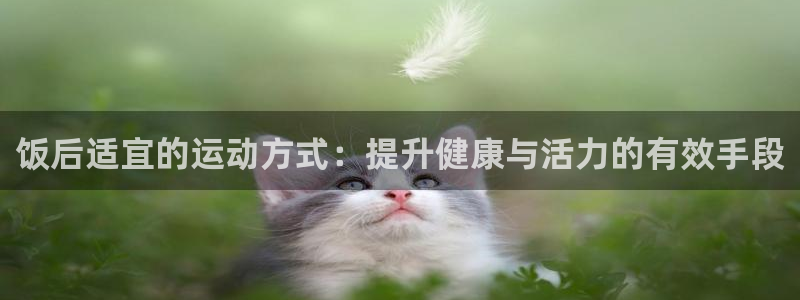 凯捷体育娱乐网站：饭后适宜的运动方式：提升健康与活力