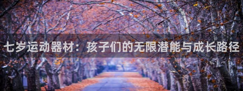 凯捷体育软件：七岁运动器材：孩子们的无限潜能与成长路