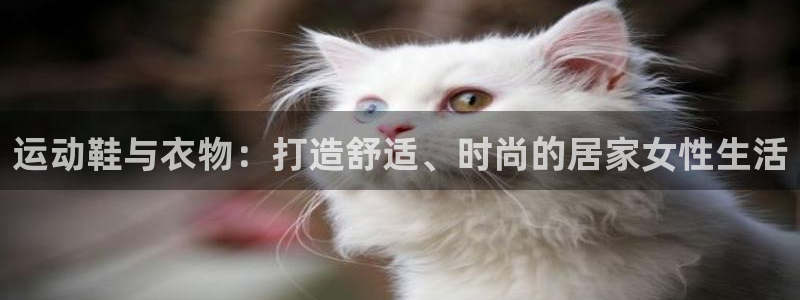 德国凯捷体育集团：运动鞋与衣物：打造舒适、时尚的居家