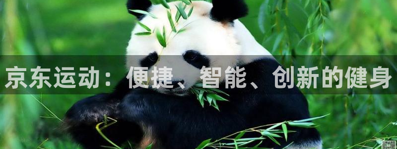 凯捷体育娱乐下载：京东运动：便捷、智能、创新的健身