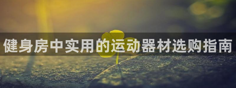 凯捷体育注册：健身房中实用的运动器材选购指南