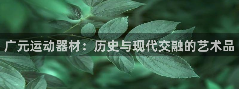 注册凯捷体育：广元运动器材：历史与现代交融的艺术品