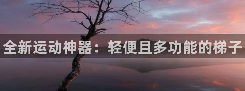 凯捷体育平台注册要钱吗：全新运动神器：轻便且多功能的梯子