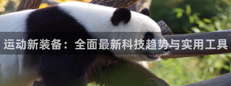 凯捷体育招商电话号码查询：运动新装备：全面最新科技趋