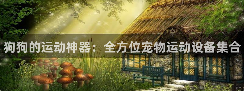 凯捷体育招商电话号码查询：狗狗的运动神器：全方位宠物