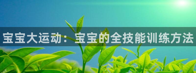 凯捷体育集团简介：宝宝大运动：宝宝的全技能训练方法