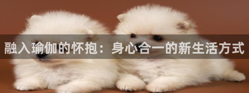 凯捷体育注册：融入瑜伽的怀抱：身心合一的新生活方式