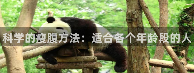 凯捷体育娱乐首页官网下载