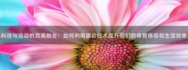 凯捷体育是干嘛的公司
