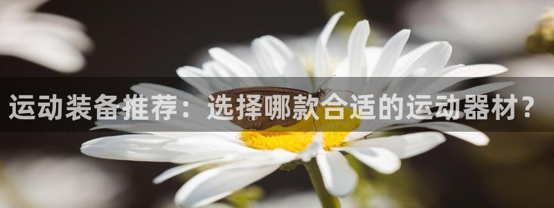 凯捷体育集团简介