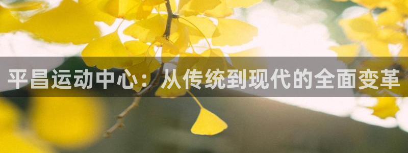 海南凯捷体育发展怎么样：平昌运动中心：从传统到现代的