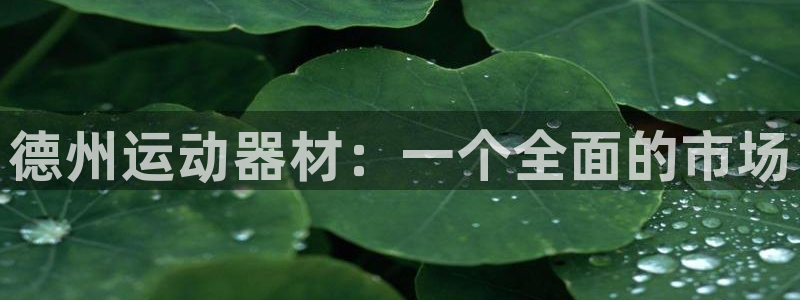 凯捷体育招商电话：德州运动器材：一个全面的市场
