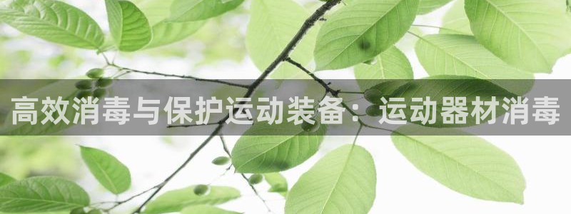 凯捷体育开户：高效消毒与保护运动装备：运动器材消毒