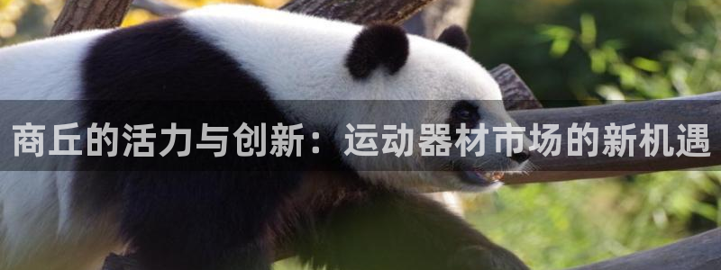 海南凯捷体育：商丘的活力与创新：运动器材市场的新机遇