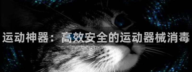 凯捷体育平台是正规平台吗