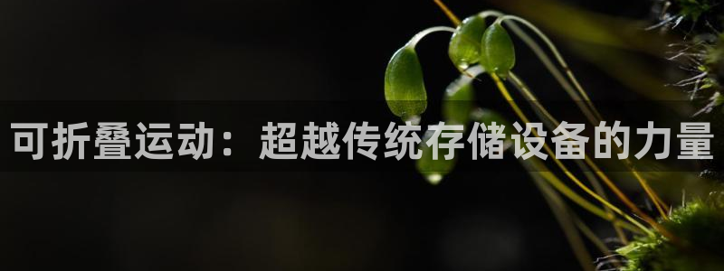 凯捷体育娱乐首页网站大全：可折叠运动：超越传统存储设