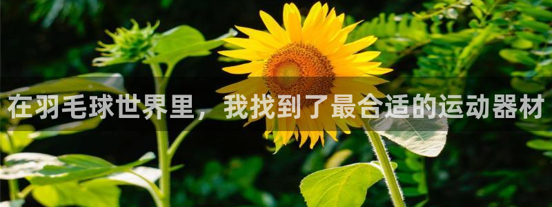 海南凯捷体育发展怎么样