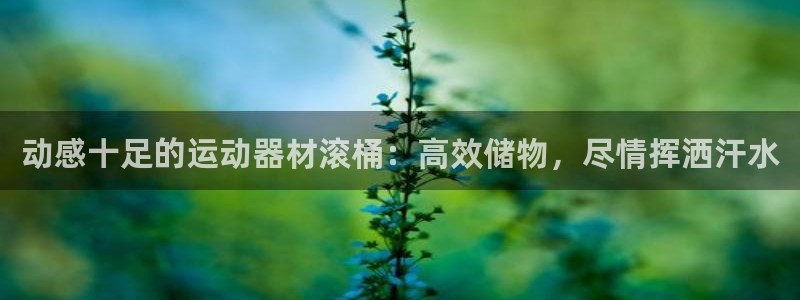 凯捷体育平台注册要钱吗：动感十足的运动器材滚桶：高效