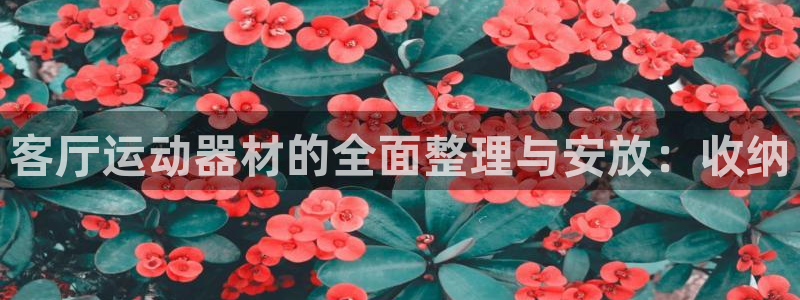 凯捷体育平台是正规平台吗知乎：客厅运动器材的全面整理
