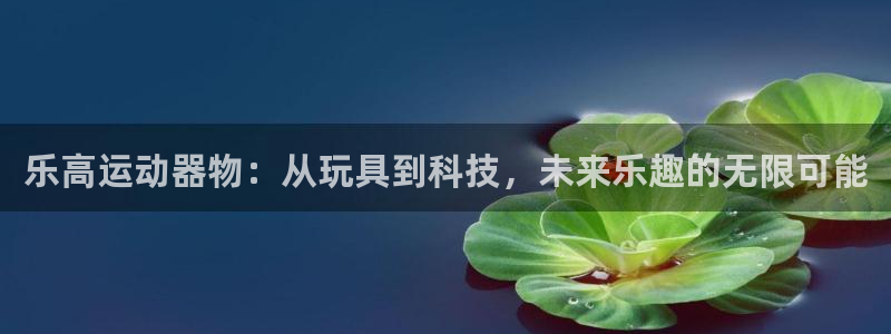 注册凯捷体育：乐高运动器物：从玩具到科技，未来乐趣的