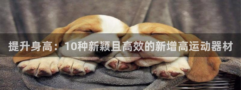 凯捷体育神州
